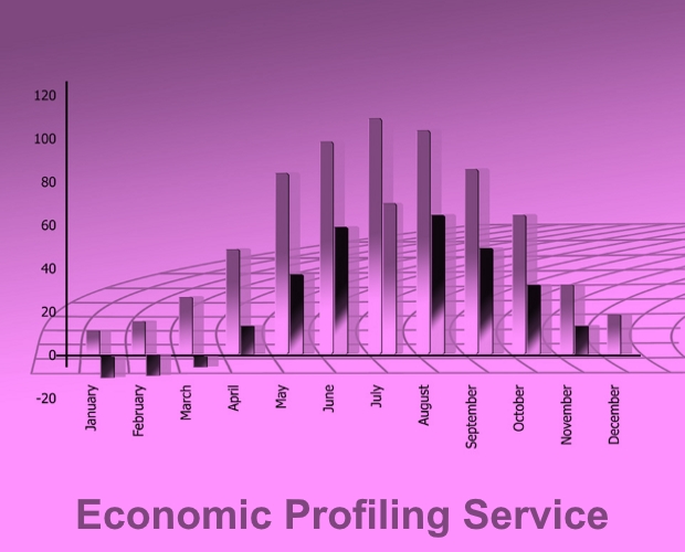 RSN Economic Profiling Service - March 2014